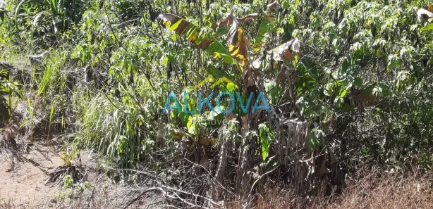 Fazenda / Sítio / Chácara com 2 Quartos à venda, 200m² no Chácara Santa Cecília, Caçapava