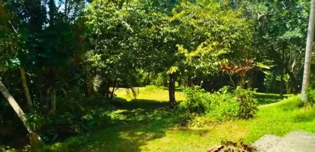 Fazenda / Sítio / Chácara com 4 Quartos à venda, 8000m² no Sao Lourenco, Juquitiba