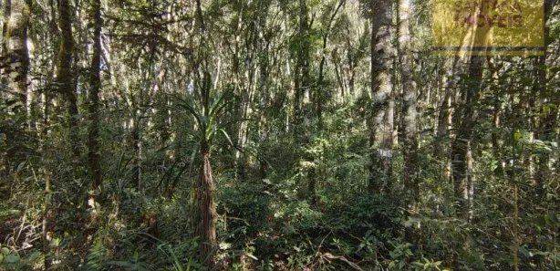 Terreno / Lote / Condomínio à venda, 240000m² no Itaqui de Cima, Campo Largo