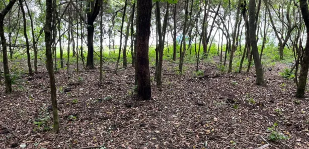 Terreno / Lote / Condomínio à venda, 53000m² no , Joanópolis