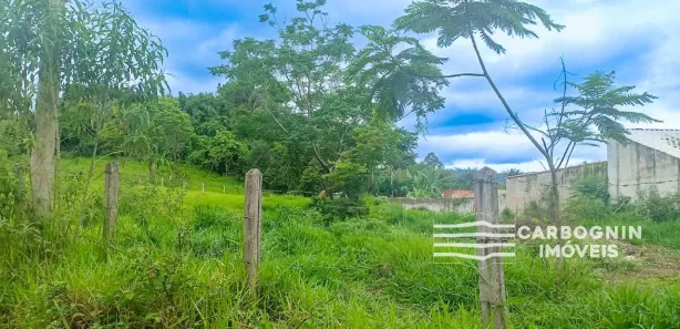Fazenda / Sítio / Chácara com 1 Quarto à venda, 1800m² no Vila Velha, Caçapava