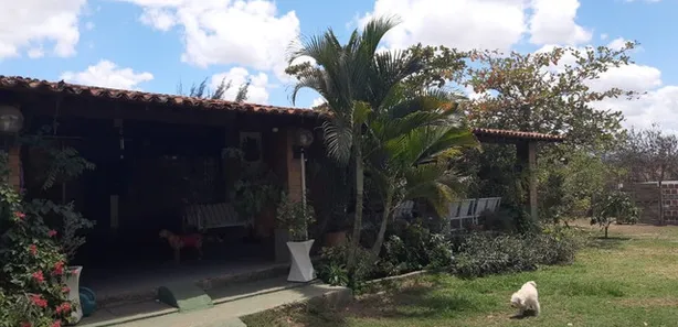 Fazenda / Sítio / Chácara com 8 Quartos à venda, 3000m² no Gravatá Centro, Gravatá