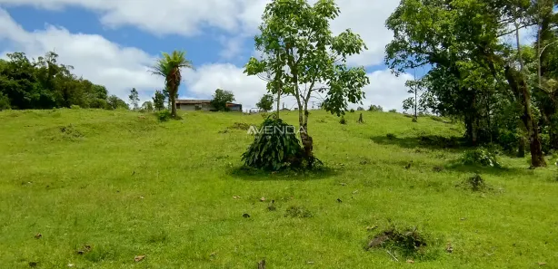 Fazenda / Sítio / Chácara com 6 Quartos à venda, 208036m² no , Campina Grande do Sul