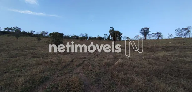 Fazenda / Sítio / Chácara à venda, 80000m² no , Florestal