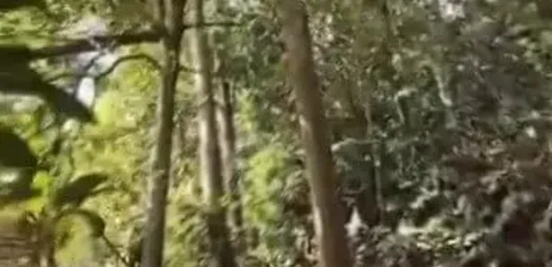 Prédio Inteiro para alugar, 10m² no Quissama, Petrópolis