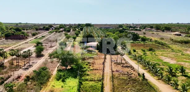 Fazenda / Sítio / Chácara à venda, 84000m² no Pedrinhas, Petrolina