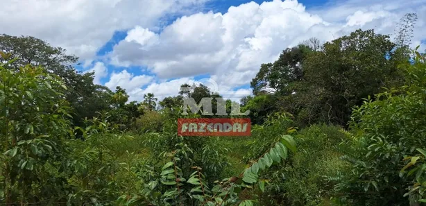 Fazenda / Sítio / Chácara à venda, 500m² no Setor Central, Ponte Alta do Tocantins