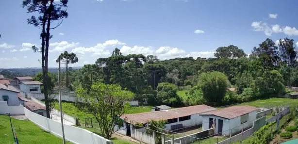 Fazenda / Sítio / Chácara com 4 Quartos à venda, 72600m² no Quatro Barras, Quatro Barras