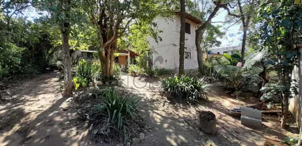 Fazenda / Sítio / Chácara com 5 Quartos à venda, 1350m² no Praia Rasa, Armação dos Búzios