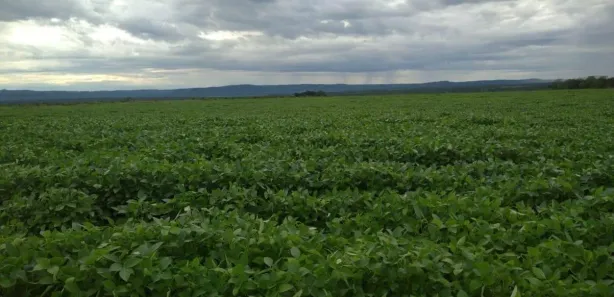 Fazenda / Sítio / Chácara à venda, 7986000m² no , Silvanópolis