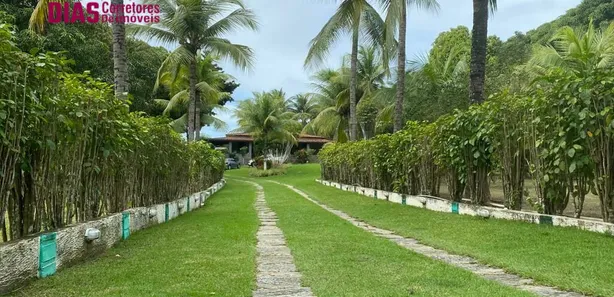 Fazenda / Sítio / Chácara com 5 Quartos à venda, 10000m² no Barra do Jacuípe, Camaçari