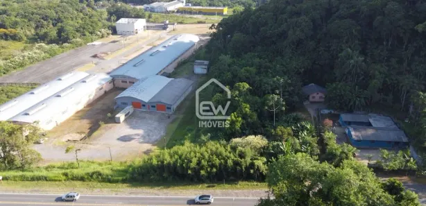 Galpão / Depósito / Armazém com 1 Quarto à venda, 5552m² no Nereu Ramos, Jaraguá do Sul