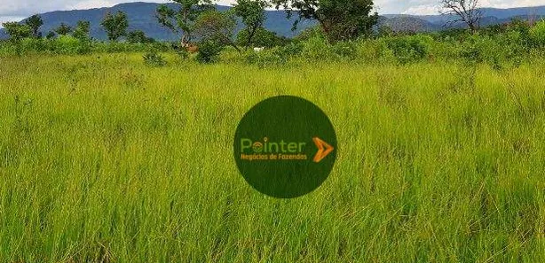 Fazenda / Sítio / Chácara à venda, 1360000m² no , Paranã