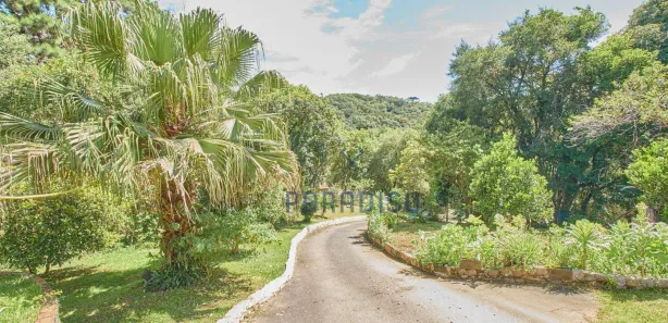 Fazenda / Sítio / Chácara com 10 Quartos à venda, 4800m² no Capivari, Colombo