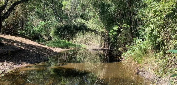 Fazenda / Sítio / Chácara com 3 Quartos à venda, 240000m² no Centro, Bom Jesus dos Perdões