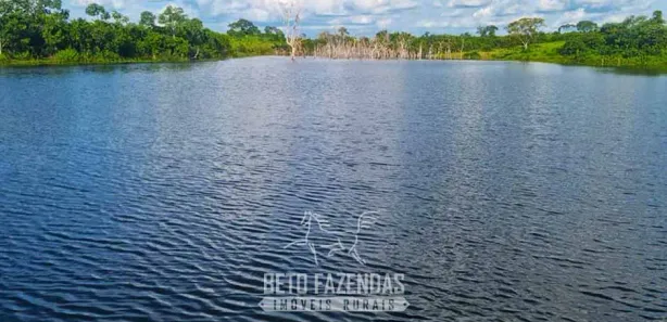 Fazenda / Sítio / Chácara à venda, 13380000m² no Área Rural de Gurupi, Gurupi