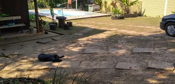 Fazenda / Sítio / Chácara com 2 Quartos à venda, 120m² no Santo Antônio, Barra do Piraí