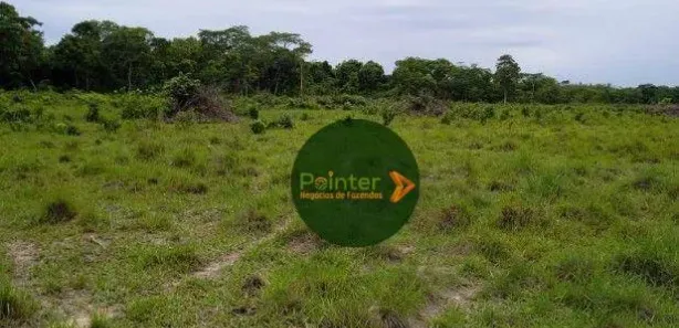 Fazenda / Sítio / Chácara à venda, 4410450m² no , Ponte Alta do Tocantins