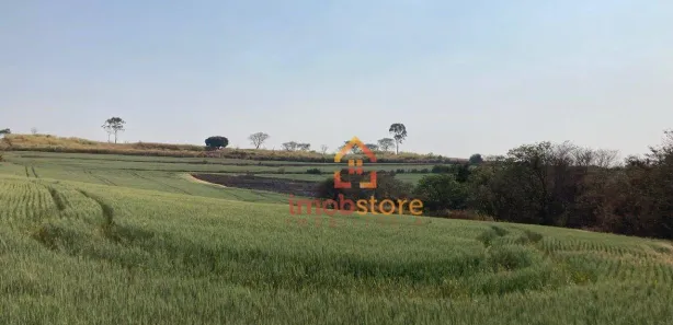 Terreno / Lote Comercial à venda, 91474m² no Parque Industrial, Ibiporã