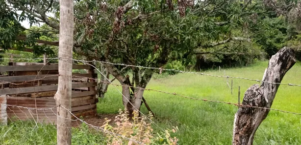 Fazenda / Sítio / Chácara com 2 Quartos à venda, 2800m² no Arapoanga, Brasília