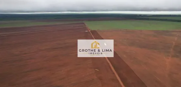 Fazenda / Sítio / Chácara com 10 Quartos à venda, 900m² no , Pedro Afonso