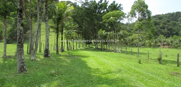 Fazenda / Sítio / Chácara com 6 Quartos à venda, 150000m² no Funchal, Cachoeiras de Macacu