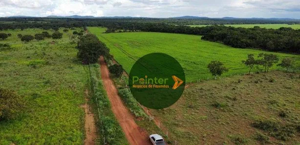 Fazenda / Sítio / Chácara à venda, 7000000m² no Parque Residencial Nova Fronteira, Gurupi