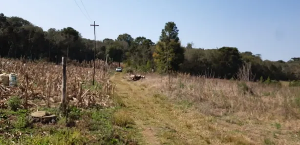 Fazenda / Sítio / Chácara com 3 Quartos à venda, 6000m² no , Contenda