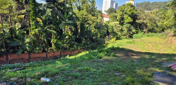 Terreno / Lote / Condomínio à venda, 3520m² no Vila Albertina, São Paulo