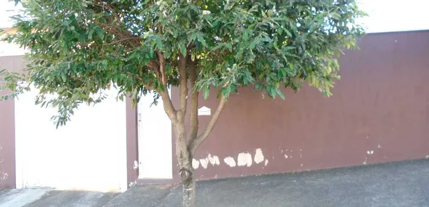Sobrado com 3 Quartos à venda, 273m² no Chácara Santo Antônio, Cosmópolis