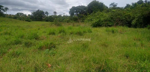 Fazenda / Sítio / Chácara à venda, 1161600m² no , Rio Sono