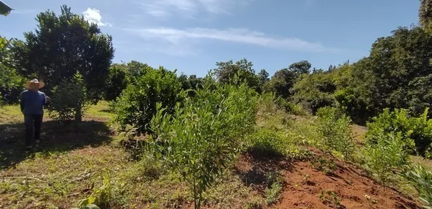 Fazenda / Sítio / Chácara com 4 Quartos à venda, 149000m² no Jardim Roriz, Brasília