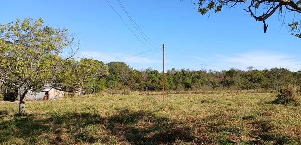 Fazenda / Sítio / Chácara à venda, 25000m² no , Brasília