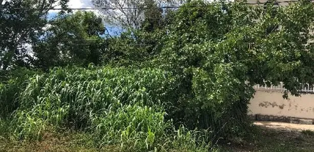 Terreno / Lote / Condomínio à venda, 125m² no Jardim Santa Rita de Cássia, Capivari