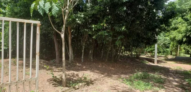 Fazenda / Sítio / Chácara com 3 Quartos à venda, 3000m² no Caracóis de Baixo, Esmeraldas