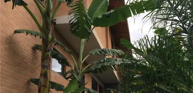 Casa de Condomínio com 4 Quartos à venda, 290m² no Condominio Recanto Santa Barbara, Jambeiro