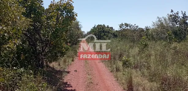 Fazenda / Sítio / Chácara à venda, 500m² no , Pium