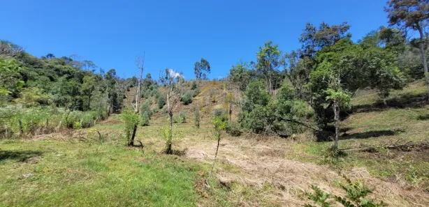Terreno / Lote / Condomínio à venda, 63000m² no Jardim da Colina, Campina Grande do Sul