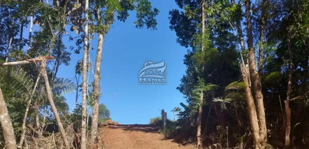 Terreno / Lote / Condomínio à venda, 44463m² no , São Pedro de Alcântara