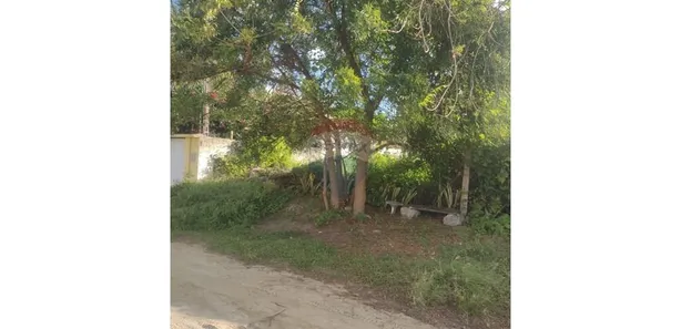 Terreno / Lote / Condomínio à venda, 450m² no , Pitimbu