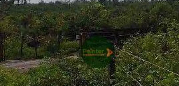Fazenda / Sítio / Chácara à venda, 13176900m² no , Paranã