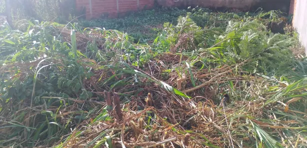 Terreno / Lote / Condomínio à venda, 270m² no Residencial Solar Ville, Goiânia
