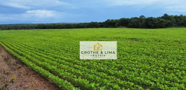 Fazenda / Sítio / Chácara com 10 Quartos à venda, 600m² no Jardim Tropical, Gurupi