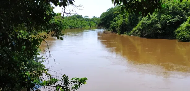 Fazenda / Sítio / Chácara com 3 Quartos à venda, 700000m² no , Anastácio