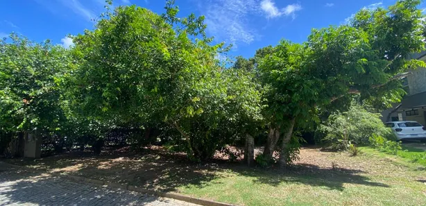 Terreno / Lote / Condomínio à venda, 1000m² no Busca Vida (Abrantes), Camaçari