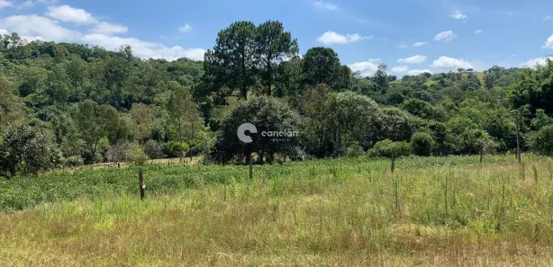 Fazenda / Sítio / Chácara à venda, 10000m² no , Santa Maria