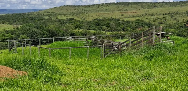Fazenda / Sítio / Chácara com 3 Quartos à venda, 200000m² no Área Rural de Formosa, Formosa