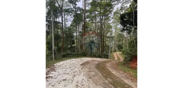 Terreno / Lote / Condomínio à venda, 2530m² no Quarteirão Ingelheim, Petrópolis