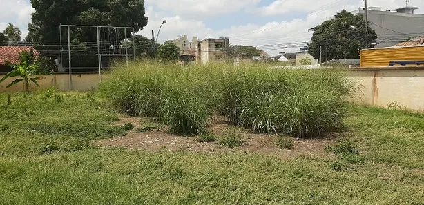 Terreno / Lote / Condomínio para venda ou aluguel, 653m² no Centro, Campos dos Goytacazes
