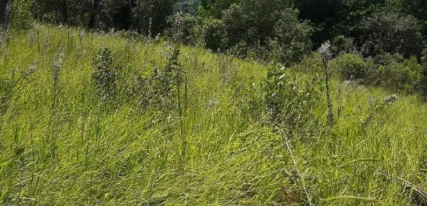 Terreno / Lote / Condomínio à venda, 2800m² no Saboó, São Roque